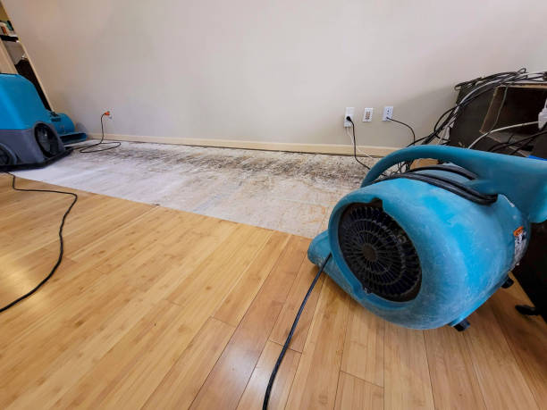 Reliable Basement Flood Cleanup contractor in Oglesby, TX by Hirex Water Damage