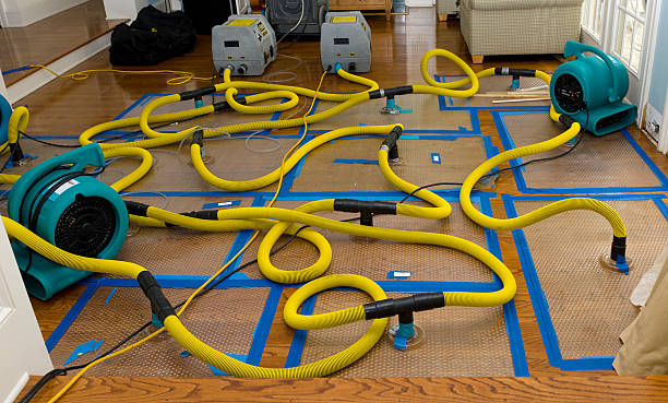 Professional Basement Flood Cleanup technician working in Oglesby, TX